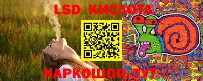 шишки Кинель